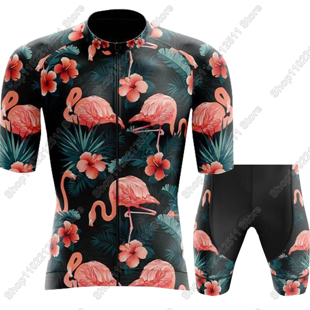 2025, Flamingo Radfahren Jerse – Summer Clothing Men 2025 Bewertung und Preis